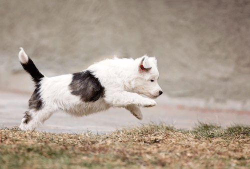 Flatwork